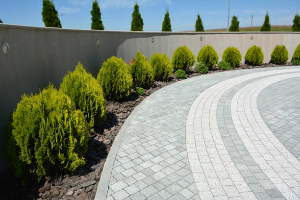 Best Driveway Paving Contractor  in Rion Center, MA